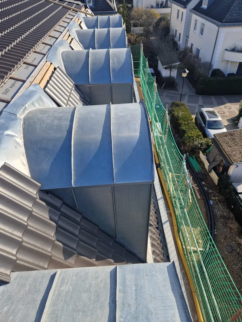 Metal-clad dormers on the roof