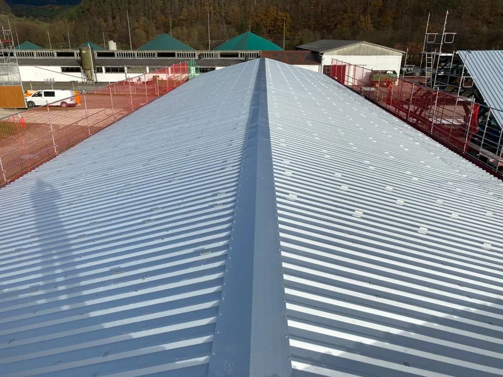 New trapezoidal sheet roof on a livestock building