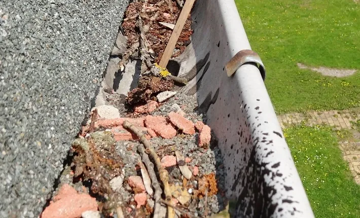 Blocked gutter before cleaning