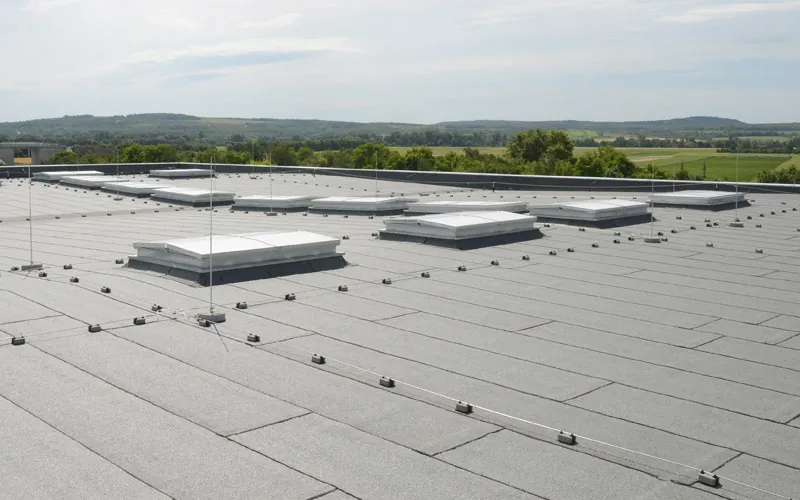 Waterproofed flat roof with rooflights